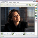 VZOchat 6.3