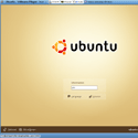 Wubi 8.1 screenshot