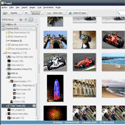 Picasa 3.1