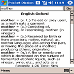 Pocket Dictionary