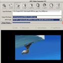 AVS Video Converter