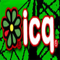 ICQ 6.5 Build 1042