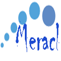 Meracl FontMap 2.1.1