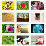 Gallery 2 – PHP Photo gallery Script