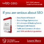 Web CEO screenshot