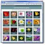 Auto PHP Web Photo Gallery screenshot