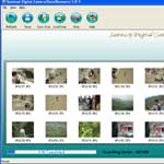 Digital Camera Data Recovery 4.8