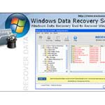 Windows Data Recovery Software