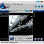Capture Streaming Video
