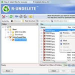 R Undelete