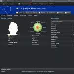 Fan Player